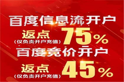 百度推广运营策略解析及成功案例分享